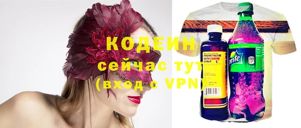 первитин Новодвинск