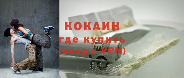 первитин Новодвинск