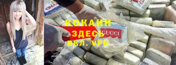 первитин Новодвинск