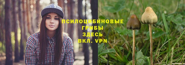 apvp Новокубанск